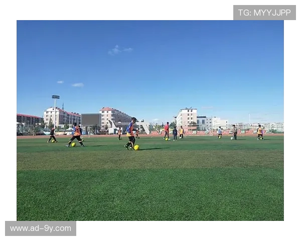 小左聊足球深度解析绿茵场内外的战术智慧与热血故事